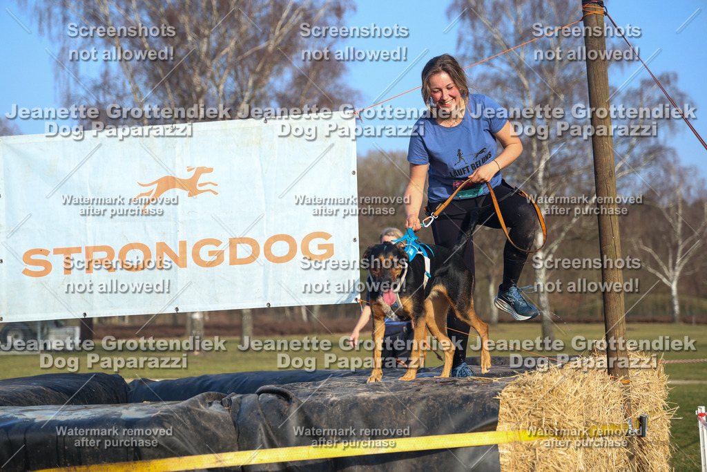 Dog Paparazzi - Strongdog North Mrz26-3613 | Dog Paparazzi Jeanette Grottendiek Fotografie & Videografie - Realisiert mit Pictrs.com