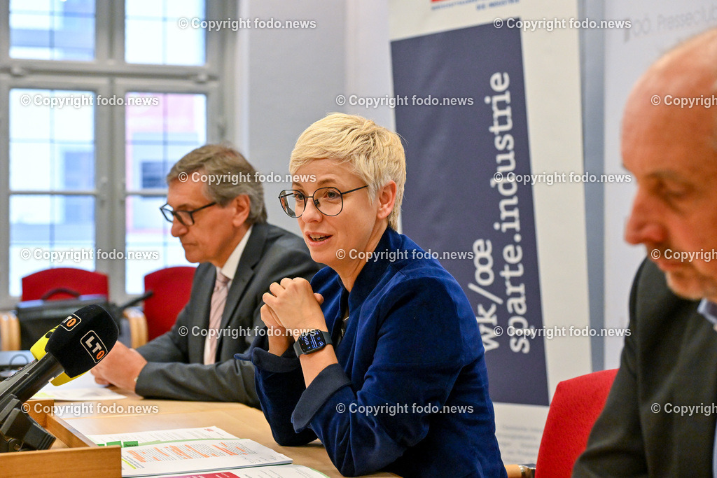 Pressekonferenz WKO Oberoesterreich_ Gasversorgung_ 03.05.2024-8 | 03.05.2024, Presseclub Linz, AUT, Pressekonferenz WKO Oberoesterreich, Ooe. Wirtschaft benoetigt sichere Gasversorgung und Wasserstoff-Perspektive, im Bild Erich Frommwald (Obmann der Sparte Industrie der Wirtschaftskammer Ooe), Doris Hummer (Praesidentin der Wirtschaftskammer Ooe), Bernhard Painz (Vorstand der AGGM Austrian Gas Grid Management AG)