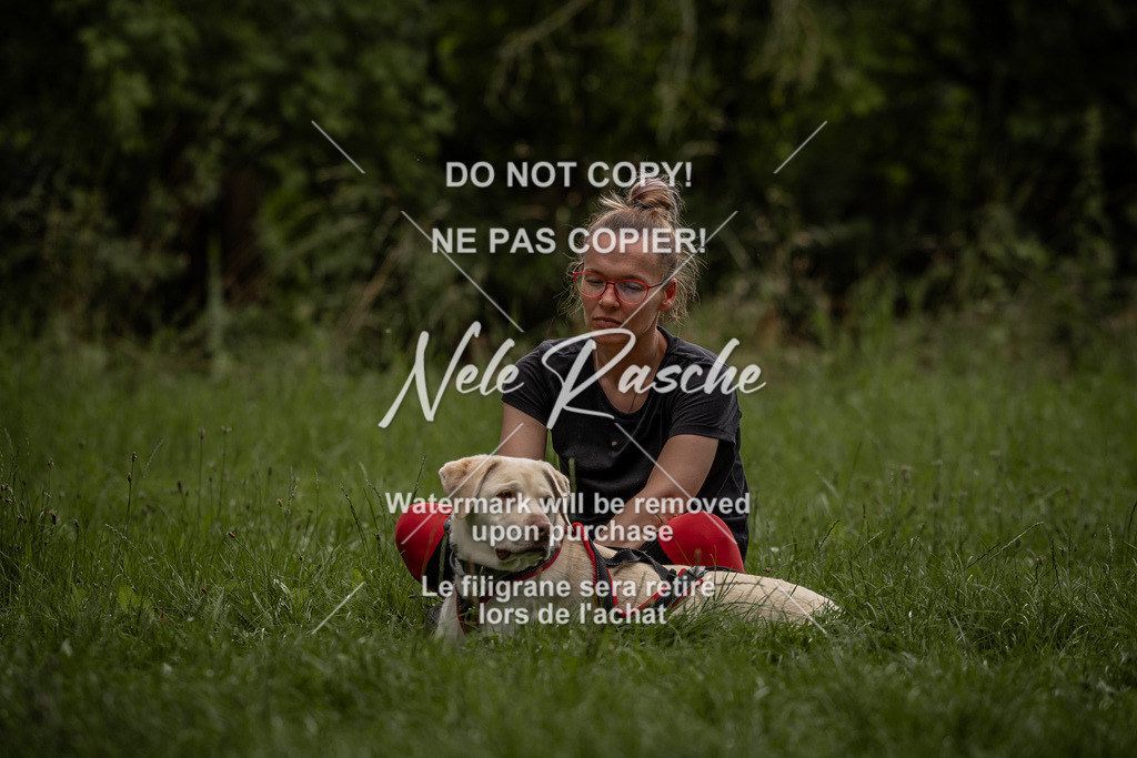 nelerasche_DoN_113 | nelerasche