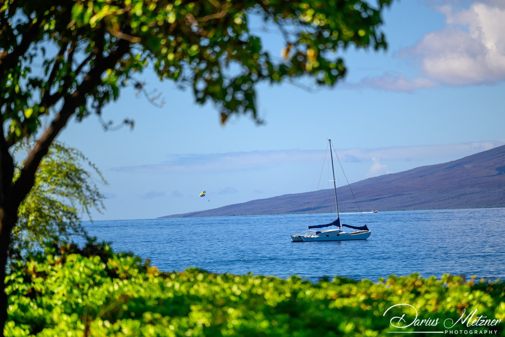 DSC_6749 | Fotografien, Fotos und Bilder aus Mainz, Frankfurt, Wiesbaden und anderen Orten auf der Welt - Fotografiert von Darius Metzner