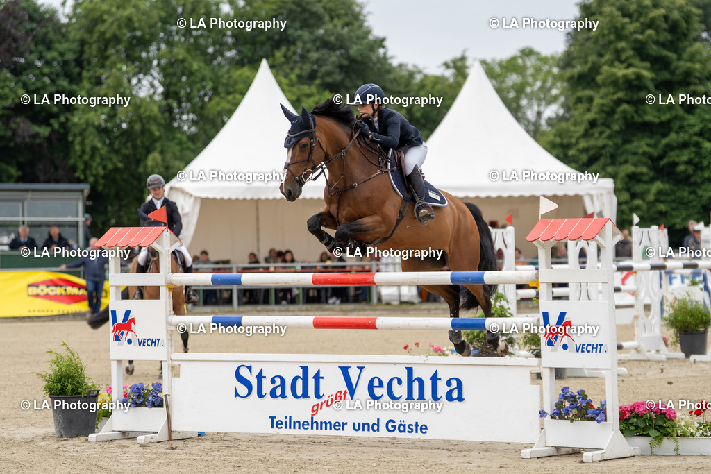 DSC08165 | Entdecke einzigartige Turnierfotos und persönliche Pferde- und Hundeportraits bei LA Photography. Für jeden Reiter und Pferd das perfekte Bild! Stöbere jetzt! - Realisiert mit Pictrs.com