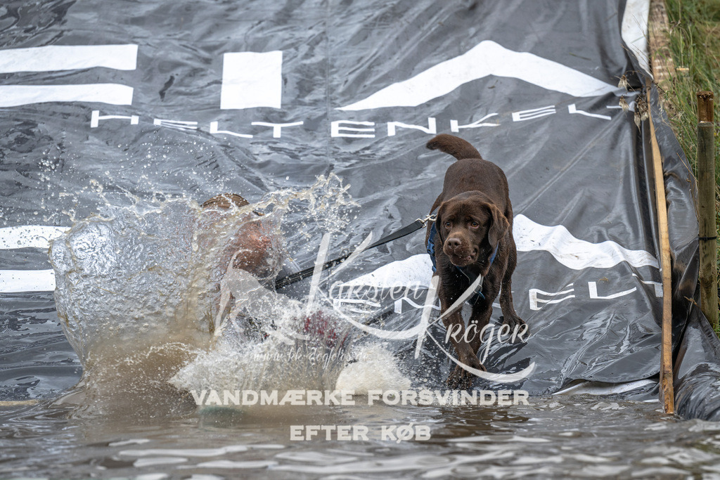 1521_ZZ92848 | kk-dogfotos