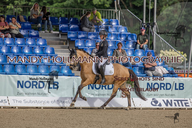 24.7.25 D1 34 (20 von 170) | mandyhollmannphotographie