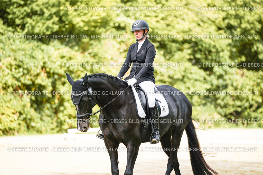 DSC02168 | Pferdegrafie