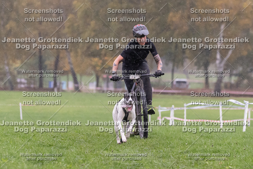 Dog Paparazzi - SD CaniX Championship 2025-885 | Dog Paparazzi Jeanette Grottendiek Fotografie & Videografie - Realisiert mit Pictrs.com