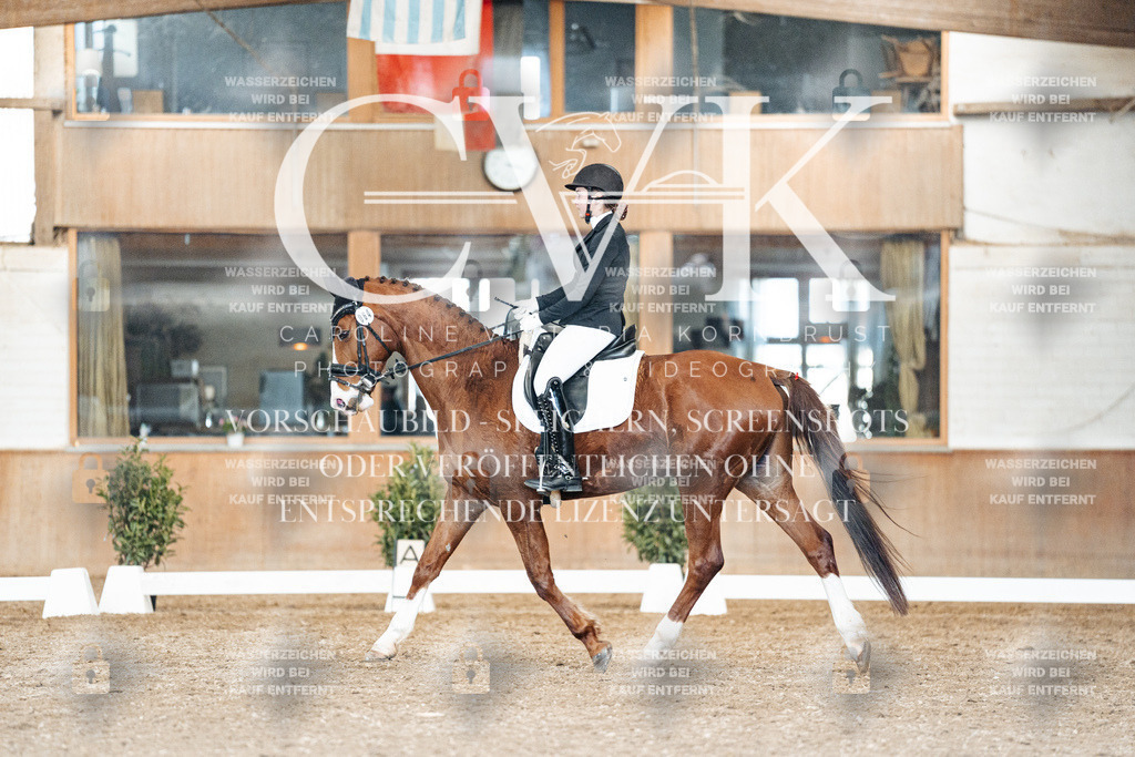 CK901718 | Turnierfotografie Pferdefotografie Trier Rheinland-Pfalz Pferdesport Reitsport Tierfotografie Sportfotografie Pferdevideo Pferdevideografie Equestrianvideography equestrianphotography  - Realisiert mit Pictrs.com