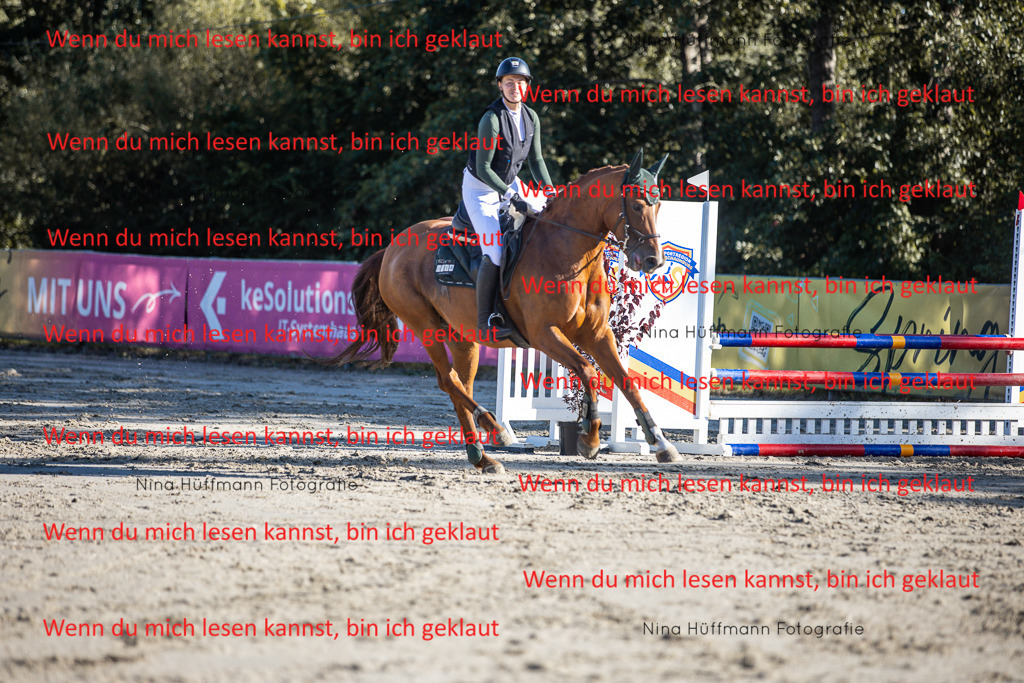 BK1A7629 | Turnierbilder Turnierfotos Nina Hüffmann Turnierfotografie Pferdefotografie Tierzeichnung Haustierzeichnung Pferdezeichnung Hundezeichnung Videograf  - Realisiert mit Pictrs.com