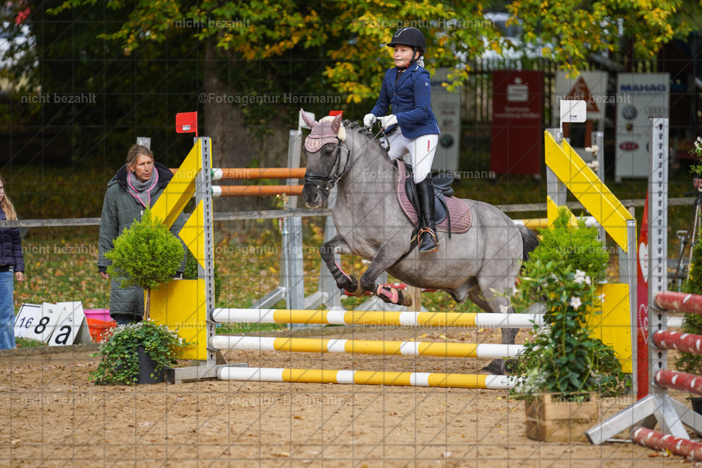 20221009-FAH08571 | Diessen am Ammersee, 2022, Dressur- und Springturnier, Reitsportbilder, Turnierfotografen Bayern, Pferdefotografen, Fotoagentur Herrmann, Turnierbilder