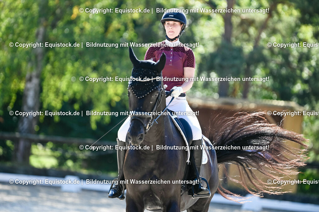 20230908_06_Dressur-L-Trense_0760 | equistock