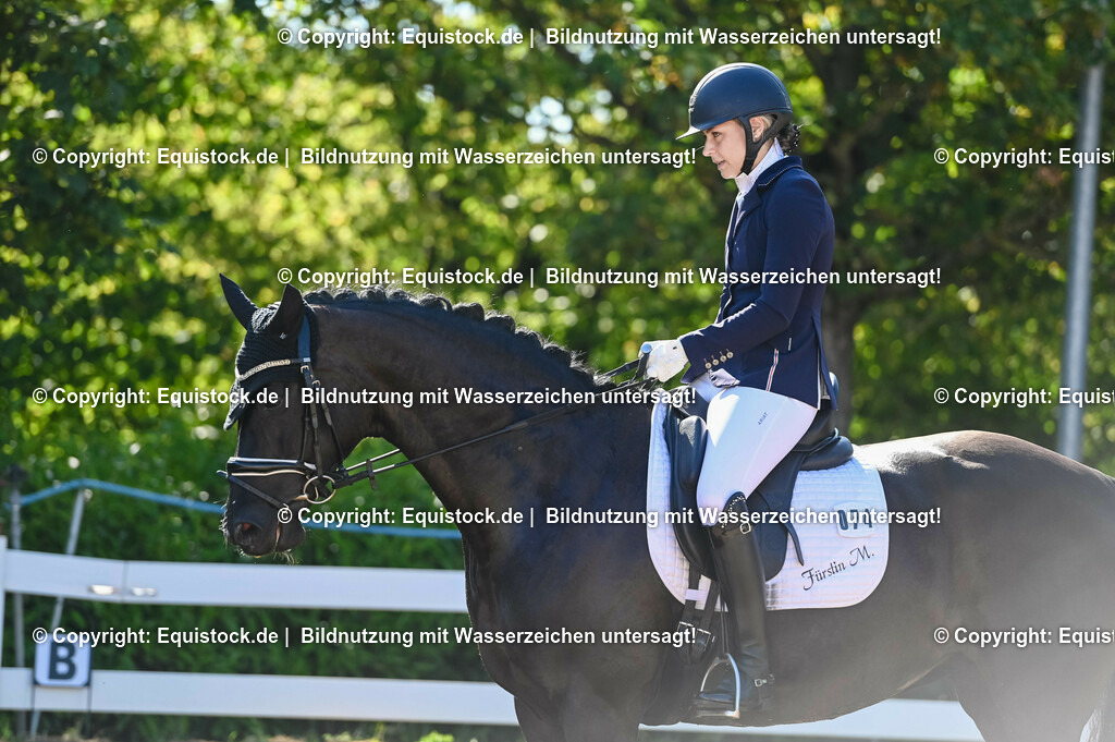 20230715_06_Dressurpferdeprfg. Kl.A_0265 | equistock