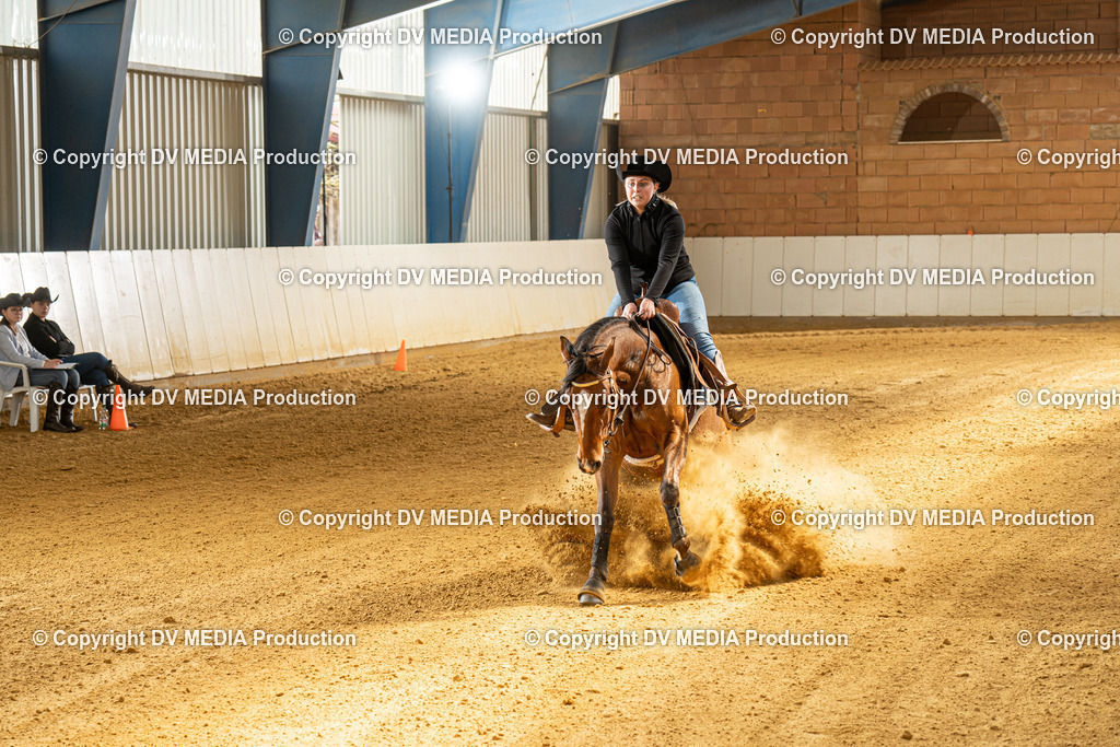 MIT00347 | dv-media-shop - Realisiert mit Pictrs.com