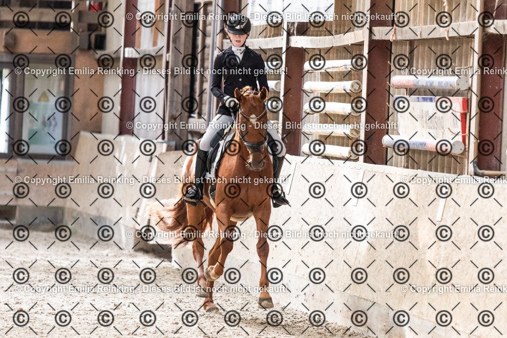 CL5A0342 | Emilia Reinking Fotografie - Realisiert mit Pictrs.com