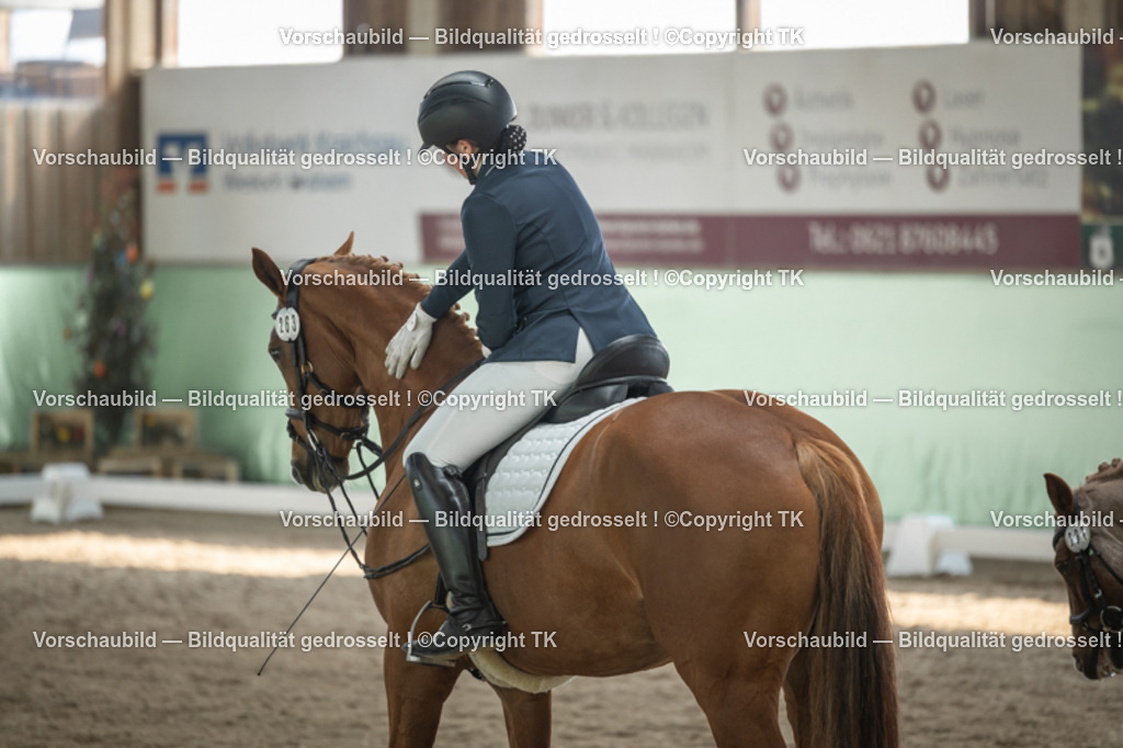 _D5A5626 | Emotionale Pferde- & People-Fotografie rund um Heidelberg, Leimen & Umgebung. Natürliche Fotos von Pferd, Mensch & Familie. Jetzt Termin sichern!