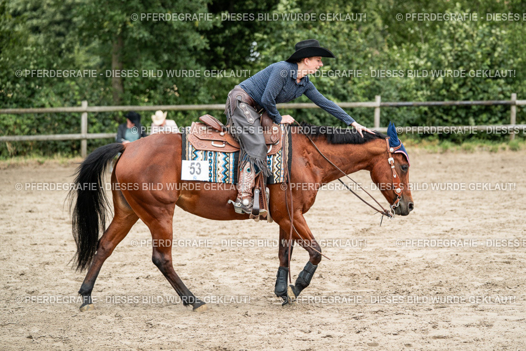 DSC01866 | Pferdegrafie