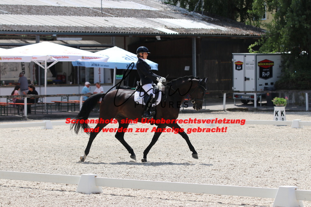 IMG_4854 | lmwpictures - Realisiert mit Pictrs.com