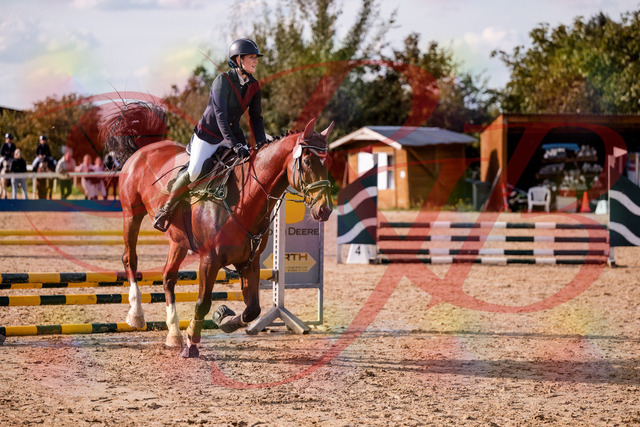 2026_10_03_Siefer-Hof_155538_Z81_74941560 | Professionelle Reitsport-, Turnier- und Eventfotografie von Robert Broda. Galerien mit ausgewählten und bearbeiteten Bildern direkt online ansehen und bestellen.
