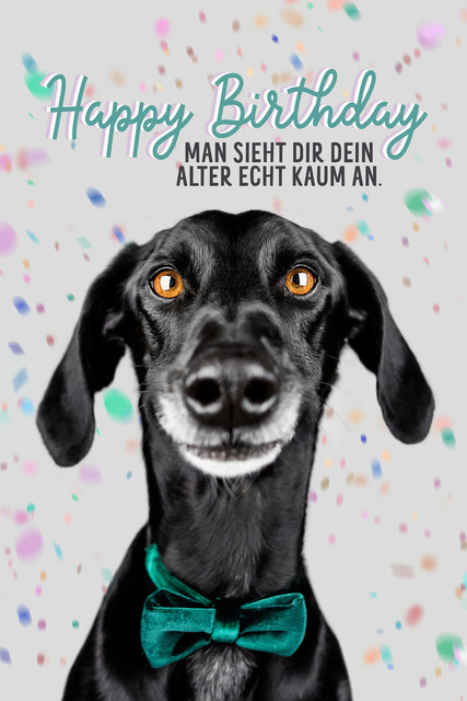 Lukes Glückwünsche | Lizbeth Hundefotografie