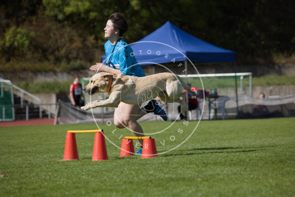 0L8A7408 | Hundefotografie, Tierfotograf, Pfotenfotografie, Fotoshooting Hund, Hunde Portrait, Hundesport, Hundeportraits, Heideshooting, Hunde, Sportfotograf, Hundefotograf, Turnierhundsport, THS,  - Realisiert mit Pictrs.com