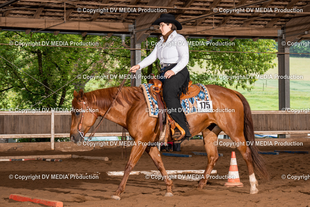 Erbach Tag 3-267 | dv-media-shop - Realisiert mit Pictrs.com