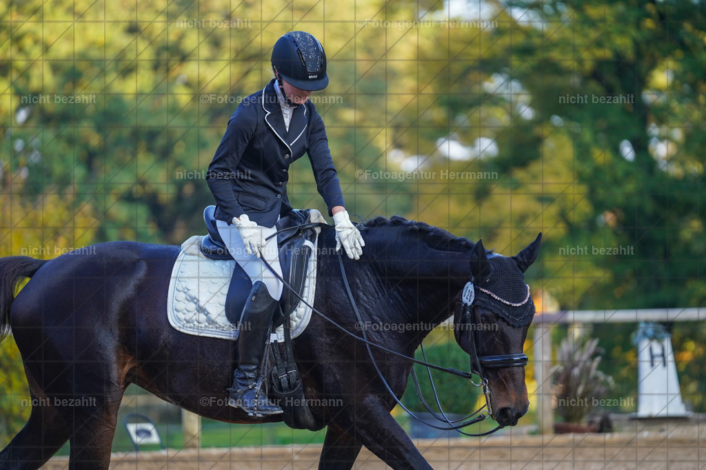 20221007-FAH00447 | Diessen am Ammersee, 2022, Dressur- und Springturnier, Reitsportbilder, Turnierfotografen Bayern, Pferdefotografen, Fotoagentur Herrmann, Turnierbilder