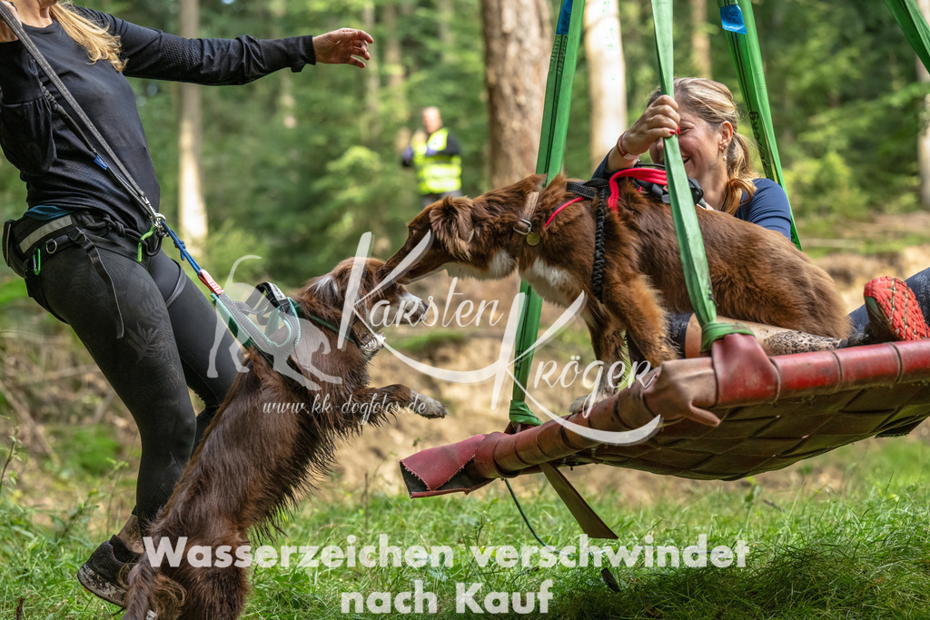 1108_ZZ94225-Bearbeitet | kk-dogfotos