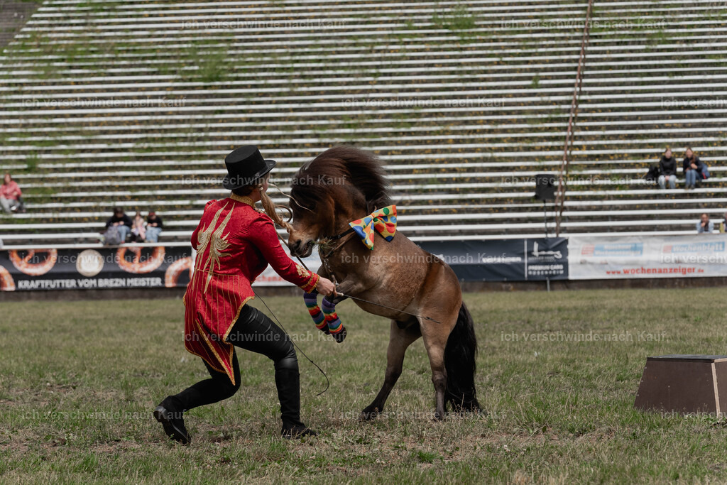 Showprogramm-242 | working equitationturnier fotograf videograf stoibphotography marixx film working equitation deutschland reitsport turnierfotografie eventfotografie equestrian events