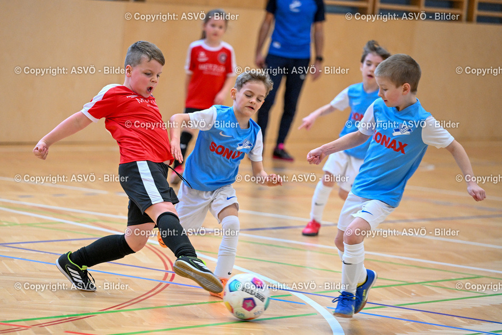 ASVÖ_ Fussball Nachwuchs Hallenturnier 2026_ SV Gallneukirchen_ 28.02.2026-141 | 28.02.2026, Gallneukirchen, AUT, ASVÖ, Fussball Nachwuchs Hallenturnier 2026, SV Gallneukirchen im Bild Teilnehmer U7©Harald Dostal / fodo.media - Realisiert mit Pictrs.com