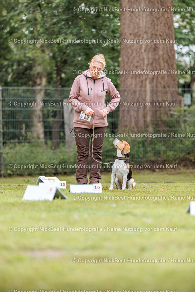 RO-Blumenthal-2026-Nickbest-Hundefotografie-4886 | Dein Hund! Dein Moment! Deine Erinnerungen! Hundefotografie in Bremen Blumenthal. Ich fange die besonderen Momente deines Vierbeiners ein – ob Indoor mit Blitzanlage oder in der freien Natur. Sicher dir dein Moment und dein Termin für eure Erinnerungen.