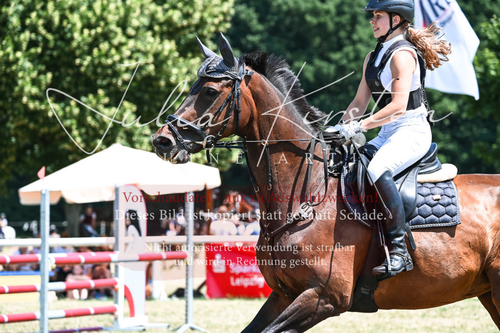 DSC_0227 | Pferde- und Turnierfotografie in Westsachsen. Pferdeportraits, Auftragszeichnungen und intuitive Kunst.