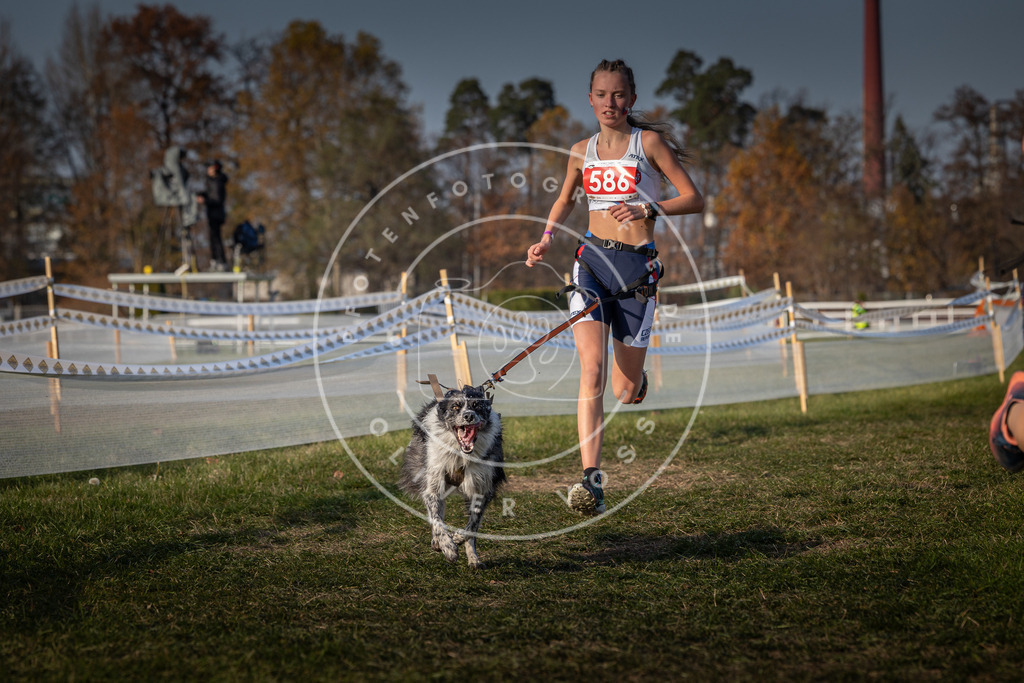 CaniXpix_0L8A9804 | Hundefotografie, Tierfotograf, Pfotenfotografie, Fotoshooting Hund, Hunde Portrait, Hundesport, Hundeportraits, Heideshooting, Hunde, Sportfotograf, Hundefotograf, Turnierhundsport, THS,  - Realisiert mit Pictrs.com