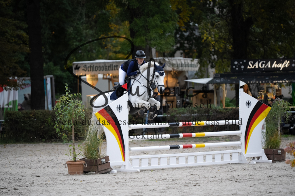 A7V08700 | Pferdefotograf