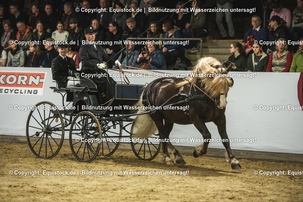 20240302_Hengstvorstellung_Marbach_TOMsPiC_0588 | equistock