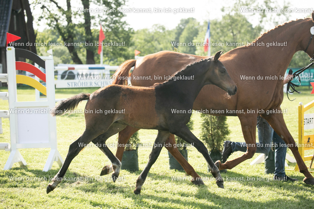 598A7182 | photographylinaismer - Realisiert mit Pictrs.com