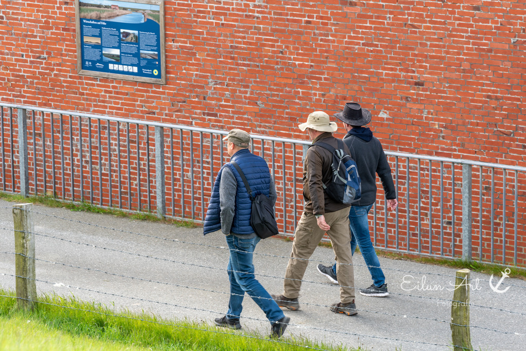 EAF_1071 | Eilun-Art-Fotografie Levke Martens, ihre Fotografin für Immobilien- und Landschaftsfotografie auf Föhr, Föhrer Motive als Poster, Leinwand, hinter Acrylglas oder stelle dir deinen eigenen Monatskalender zusammen, mit nur einem Klick