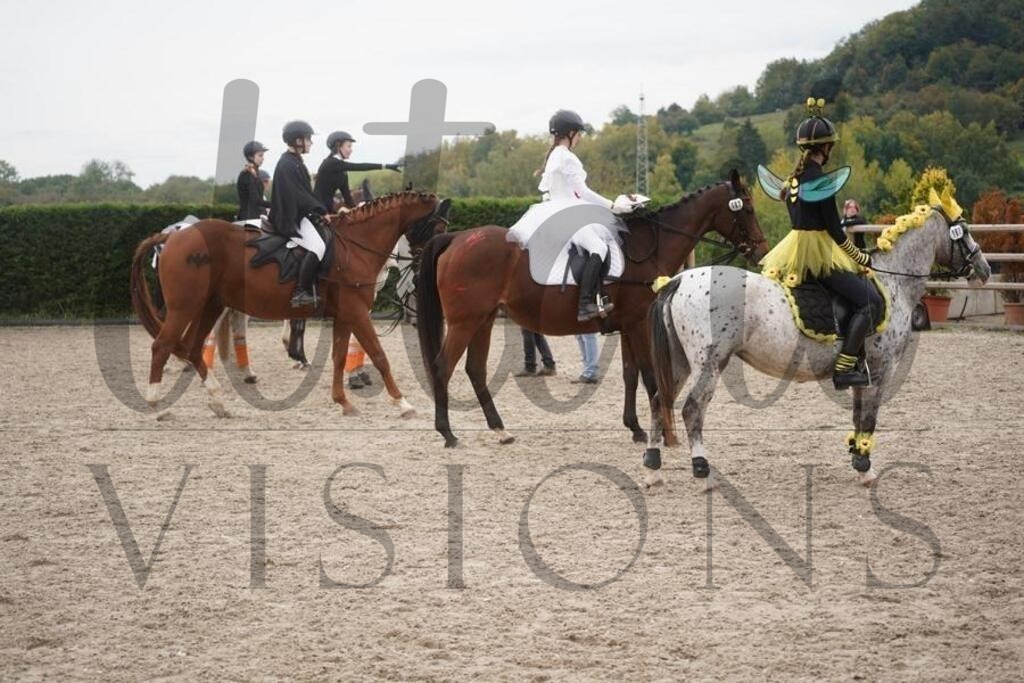 pfmagarethenhof (935) | d.tail Visions - Shop - Realisiert mit Pictrs.com