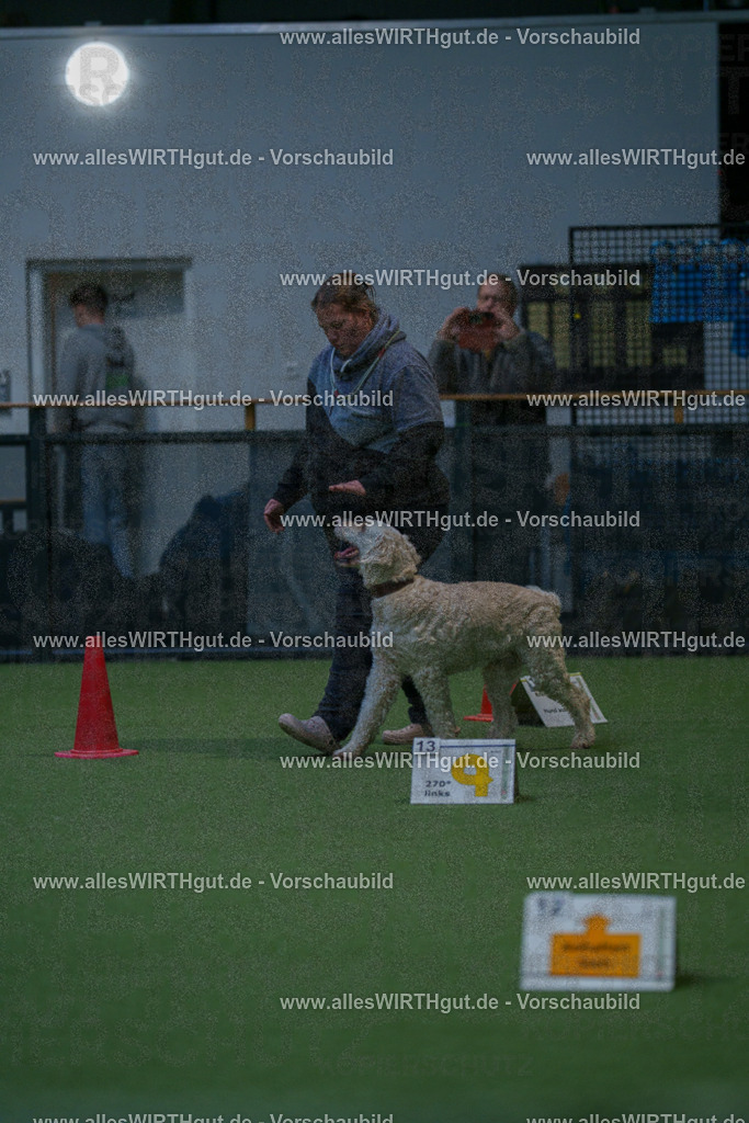 7R502857 | Professionelle Tierfotografie in Mönchengladbach von Daniel Wirth (allesWIRTHgut). Liebevolle & natürliche Bilder von Hunden & Katzen für unvergessliche Erinnerungen.