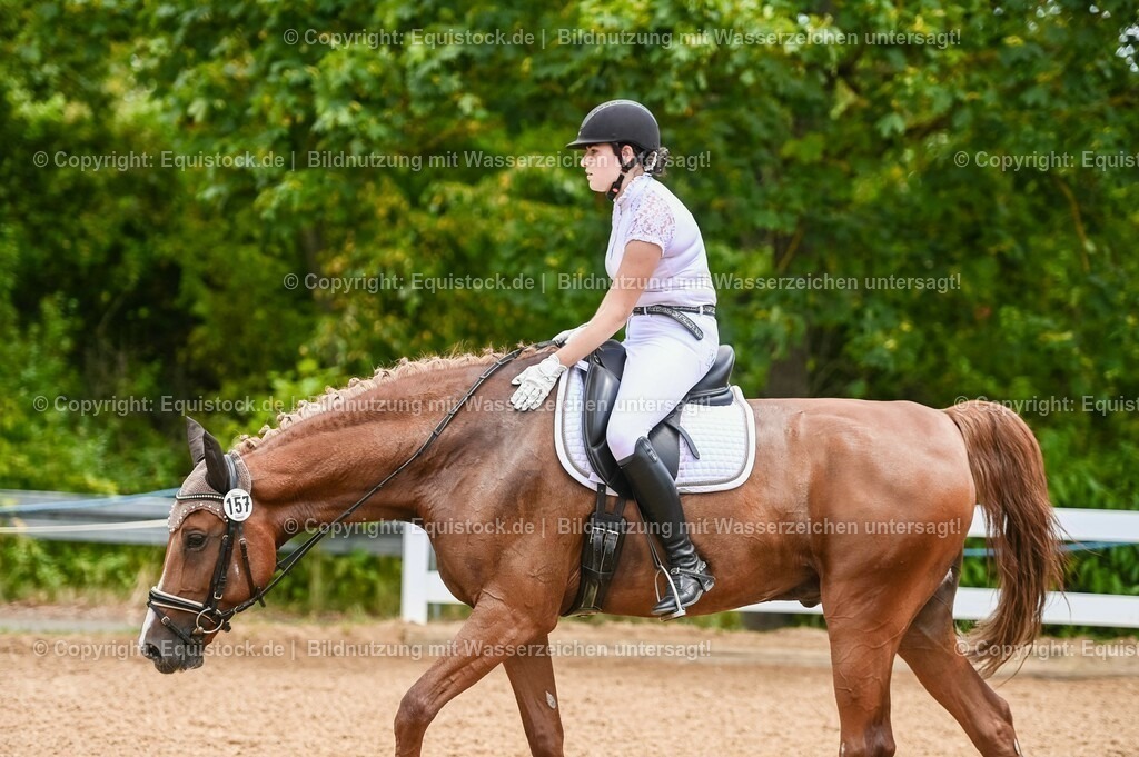 20230715_05_Dressurprüfung Kl.A++_0054 | equistock