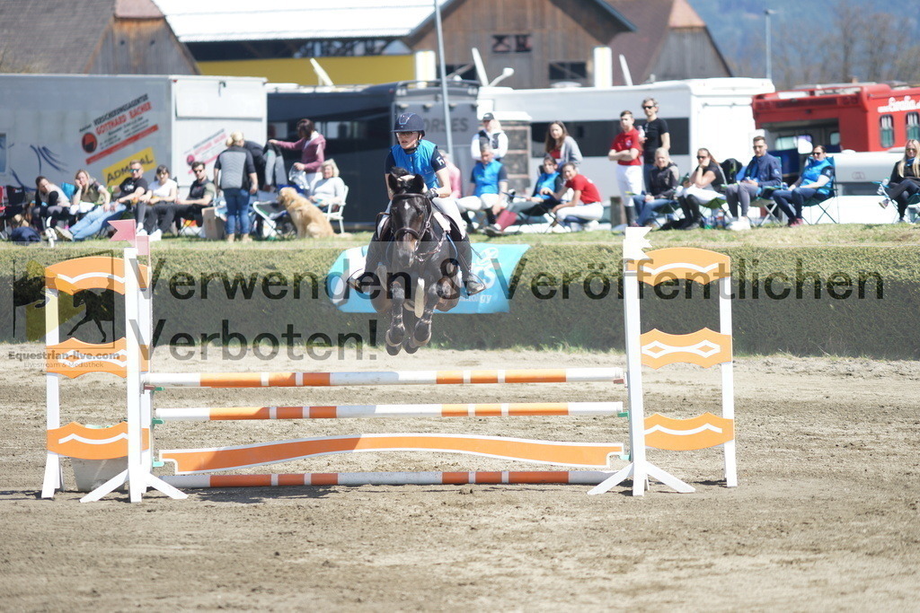 DSC02915 | equestrian-live-com