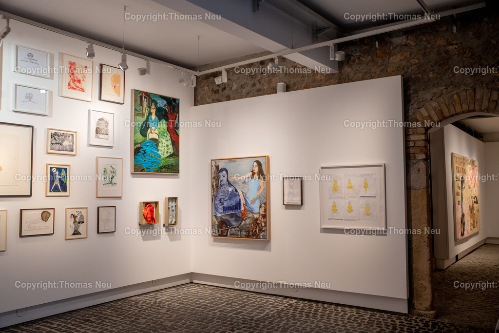 DSC_0380 | Museum der Stadt Bensheim, Finissage der Ausstellung "Rosa Loy, guest Rose Wylie - Doubletten" - 