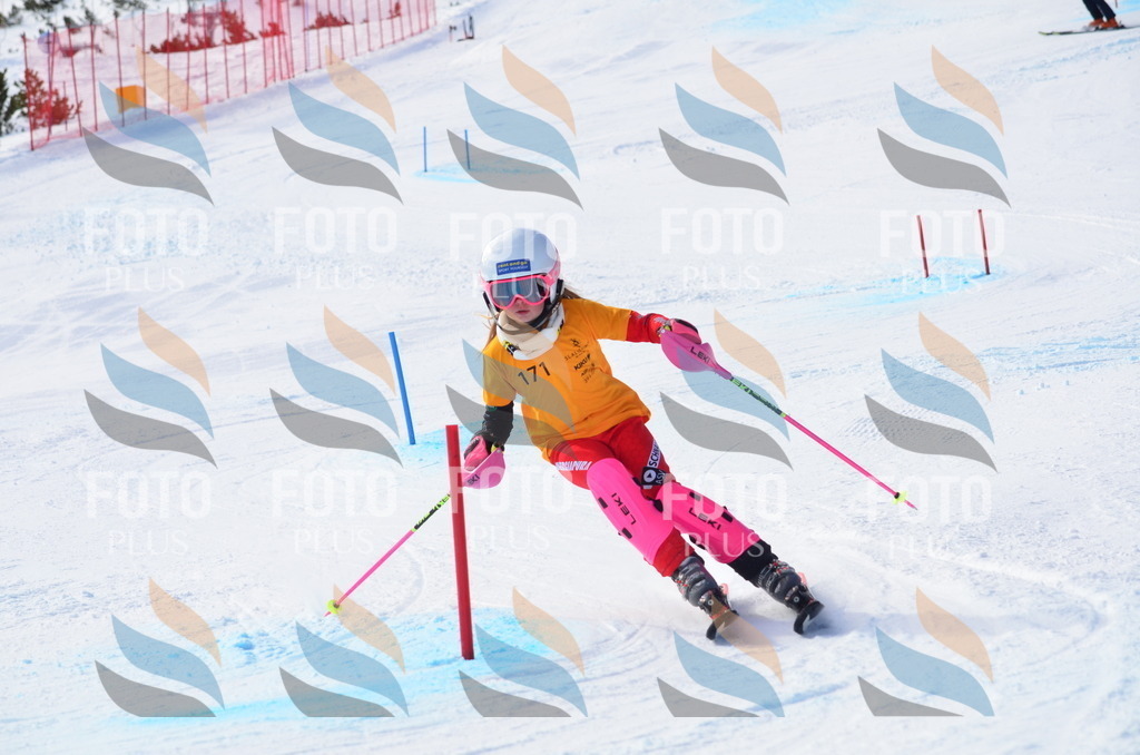 C7907 | holidayphoto