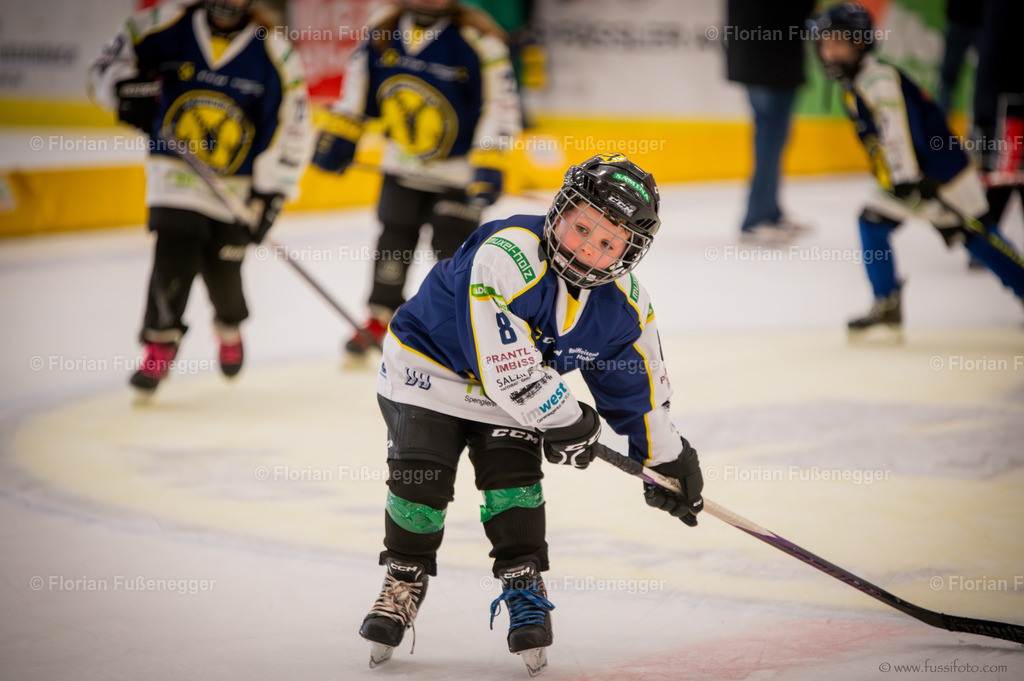 DSC_1445 | "Fussifoto.com – Ihr Ansprechpartner für hochwertige Fotografie! Entdecken Sie kreative Bilder und professionelle Dienstleistungen. Kontaktieren Sie uns für Ihre Projekte!"