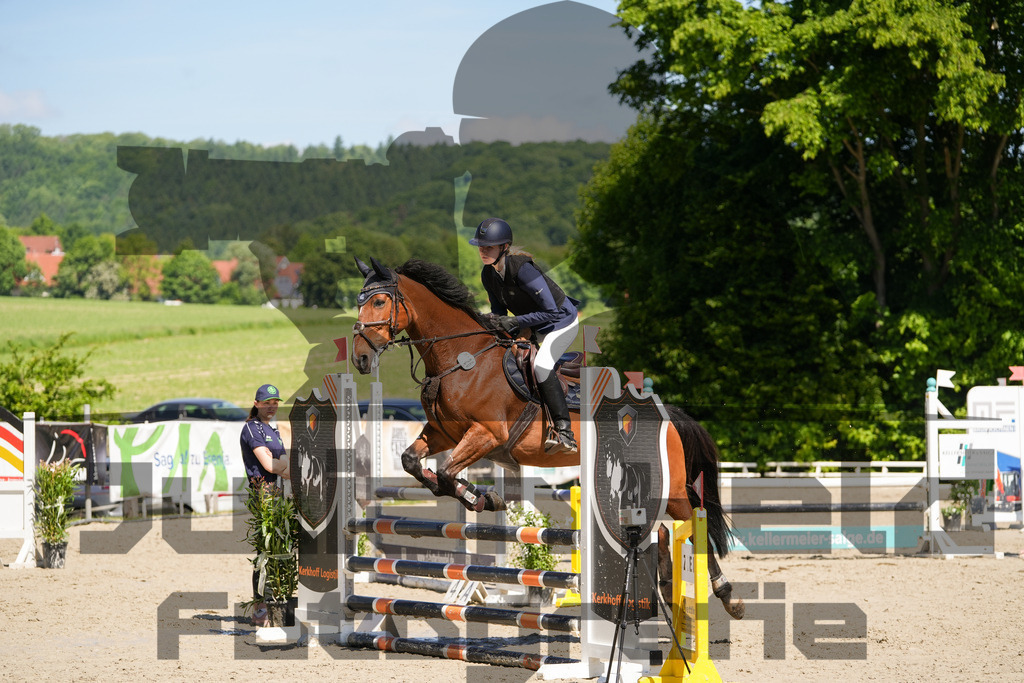 DSC02202 | Julian Held Fotografie - Realisiert mit Pictrs.com