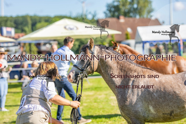 IG WELSH VM 2024-76 | mandyhollmannphotographie