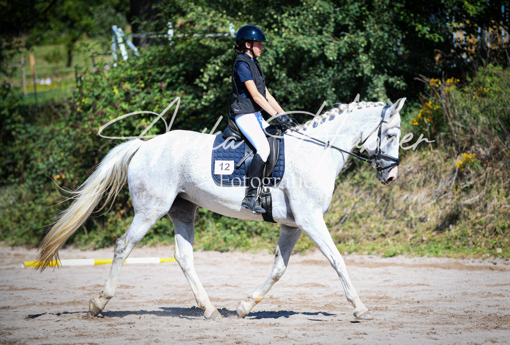 DSC_0221 | anikahuebner - Realisiert mit Pictrs.com