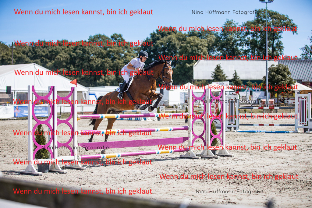 BK1A6436 | Turnierbilder Turnierfotos Nina Hüffmann Turnierfotografie Pferdefotografie Tierzeichnung Haustierzeichnung Pferdezeichnung Hundezeichnung Videograf  - Realisiert mit Pictrs.com