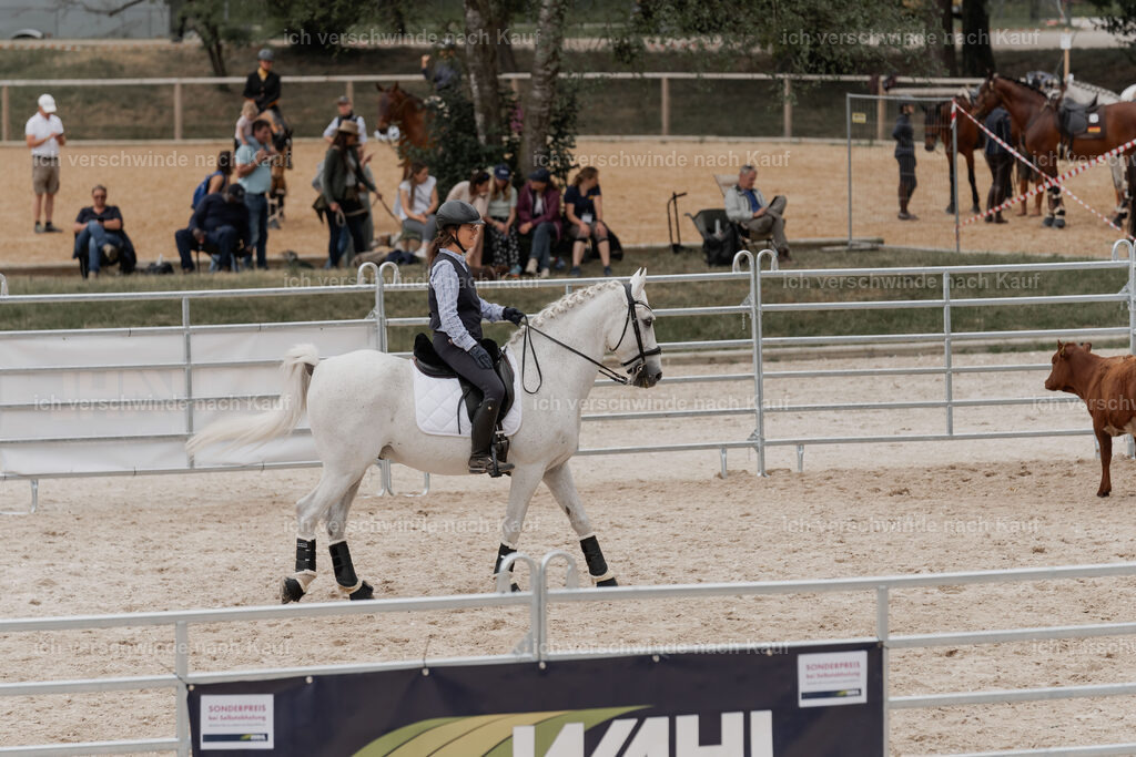 WE__Stoib_Rinder_PI2025_3107 | Pferd International München 2025