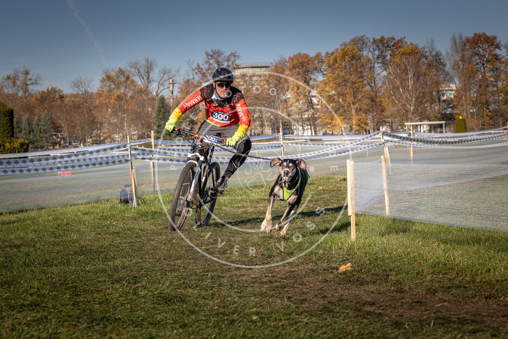CaniXpix_0L8A5435 | Hundefotografie, Tierfotograf, Pfotenfotografie, Fotoshooting Hund, Hunde Portrait, Hundesport, Hundeportraits, Heideshooting, Hunde, Sportfotograf, Hundefotograf, Turnierhundsport, THS,  - Realisiert mit Pictrs.com