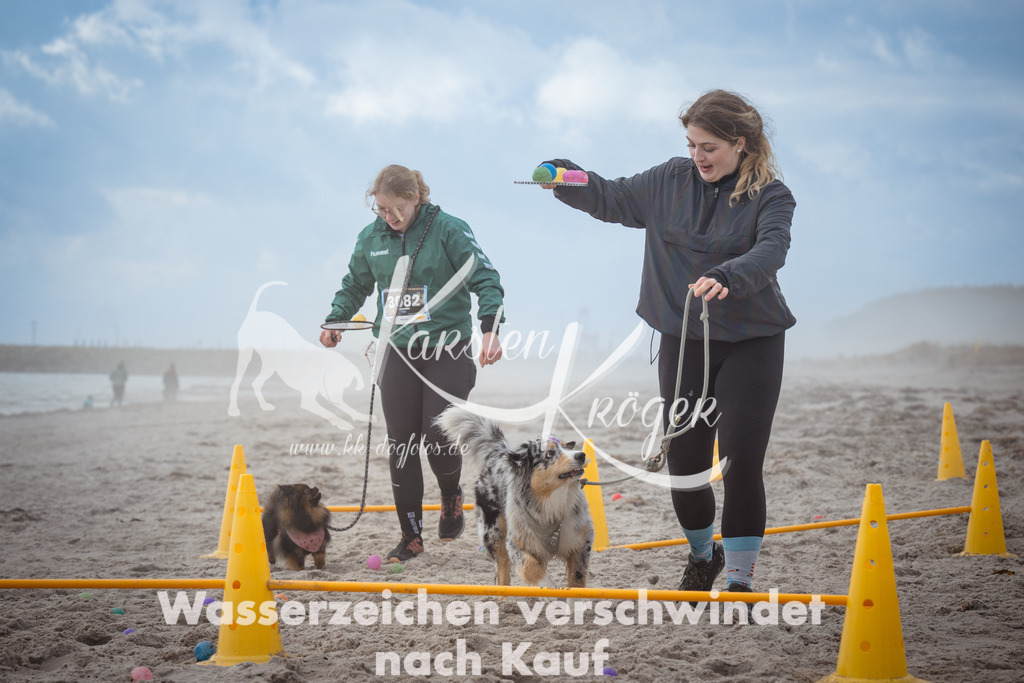 1202_ZZ93713 | kk-dogfotos