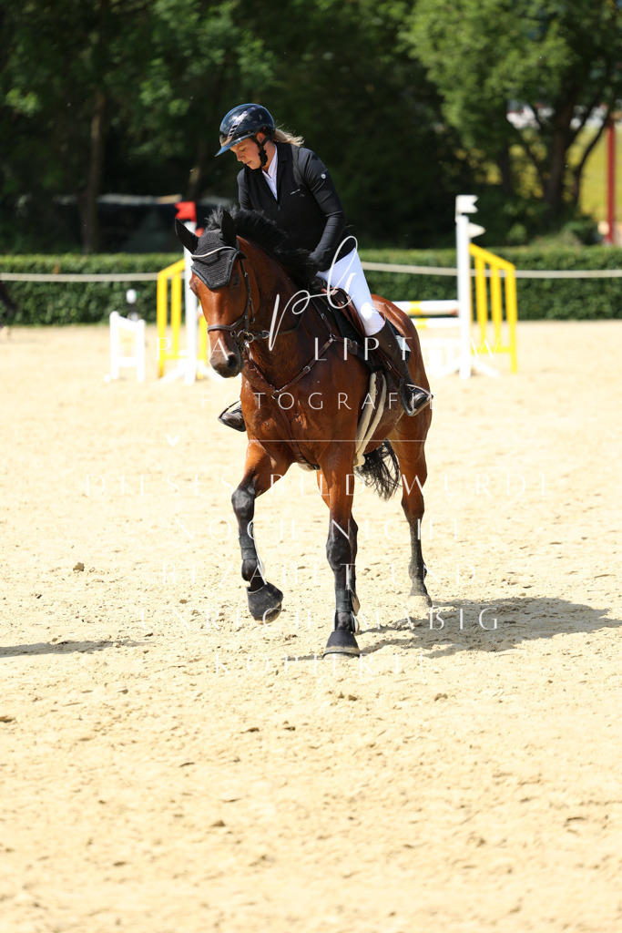 IMGM4533 | pl-fotografie