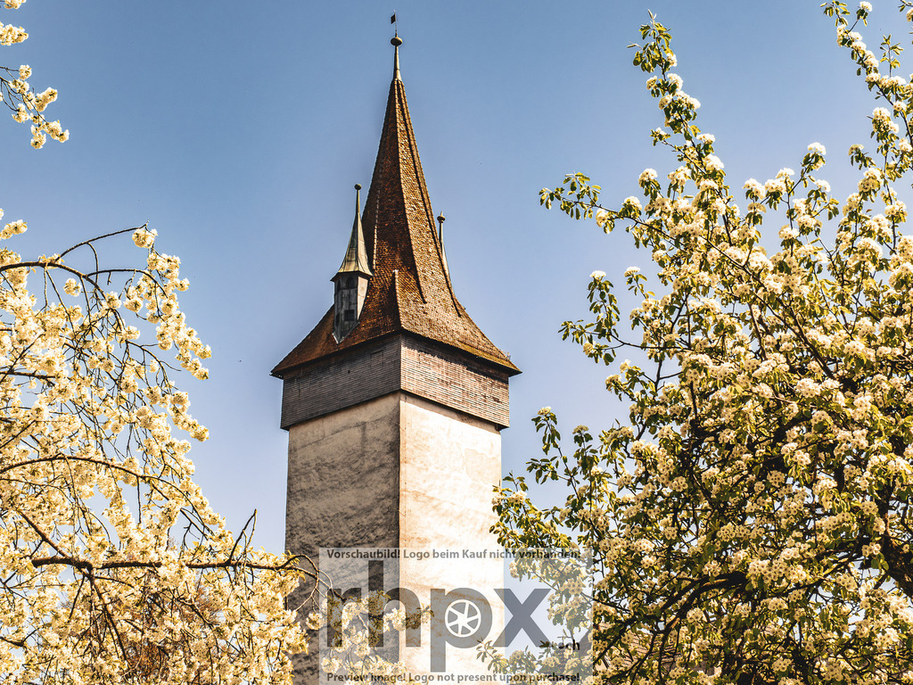 Frühling in Luzern – Kirschblüten vor Museggmauer | Frühlingsstimmung in Luzern. Zarte Kirschblüten im Vordergrund treffen auf die historische Museggmauer im Hintergrund. - Realisiert mit Pictrs.com